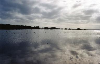 kaipara