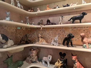chinadogs