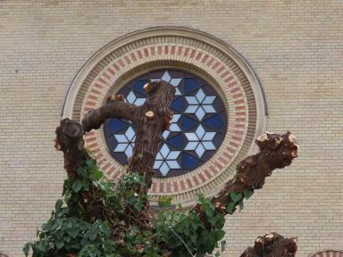 rosewindow